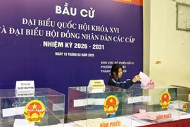 Студенты принимают участие в голосовании на выборах депутатов Национального собрания XVI созыва и депутатов Народных советов всех уровней на срок 2026–2031 годов. (Фото: ВИА).