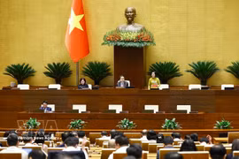 Заместитель Председателя Национального собрания Нгуен Тхи Тхань ведёт заседание. (Фото: ВИА)