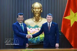 Премьер-министр Ле Минь Хынг принимает государственного министра иностранных дел Республики Индия Пабитру Маргериту. Фото: ВИА.