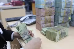 Создана государственная компания по управлению активами кредитных организаций с уставным капиталом 5 трлн донгов. (Фото: ВИА) 