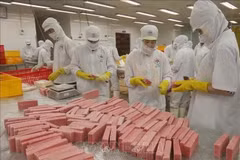 Производство на предприятии Hong Ngoc по переработке морепродуктов в провинции Даклак. (Фото: ВИА) 