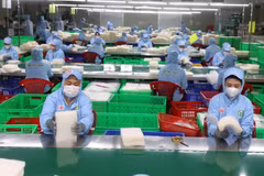 Рабочие сортировали рисовую бумагу на предприятии Tan Nhien Co. Ltd. в провинции Тайнинь. (Фото: ВИA)