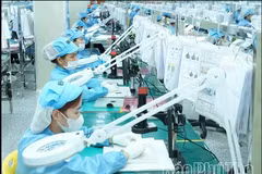 Компания Bhflex Vina Co., Ltd. с инвестициями из Республики Корея, расположенная в индустриальном парке Кхайкуанг провинции Футхо, в настоящее время управляет пятью заводами по производству электронных компонентов, обеспечивая работой более 4,1 тыс. человек. (Фото: baophutho.vn) 