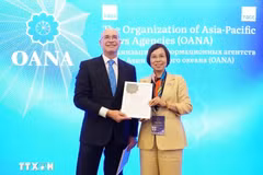 ВИА заняло второе место в конкурсе лучших журналистских материалов OANA 2026