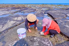 Люди собирают морепродукты на острове Батьлонгви. (Фото: Qdnd.vn)