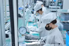 Рабочие компании Bumjin Electronics Vina Co., Ltd. в провинции Куангнинь. (Фото: ВИА) 