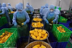 Торговый оборот между Вьетнамом и Монголией обладает значительным потенциалом роста, особенно в сфере экспорта сельскохозяйственной продукции. (Иллюстративное фото: ВИА) 