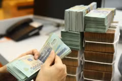Вьетнам вступает в новую эру динамичного роста, и ожидается, что частный сектор будет играть в этом ключевую роль. (Фото: VietnamPlus)
