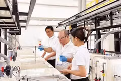 Производственная линия японской компании Onaga Co., Ltd. в HANSSIP. (Фото: nhandan.vn) 