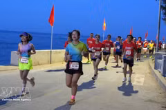 Участники забега на продуваемой ветрами прибрежной дороге во время Ly Son Half Marathon 2026. Фото: ВИА. 