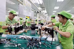 Производственная линия по выпуску электрических проводов на предприятии Bandai Vietnam Co., Ltd. в промышленном парке Бо Чай, квартал Хоабинь, провинция Футхо. (Фото: ВИА) 