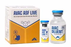 Вакцина AVAC ASF LIVE против африканской чумы свиней, разработанная и производимая вьетнамской акционерной компанией AVAC Vietnam. (Фото: avac.com.vn)