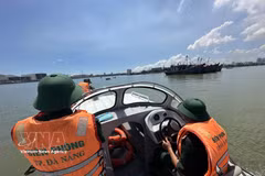 Офицеры и бойцы пограничного поста Шонча Управления пограничных войск города Дананг выполняют задачу по патрулированию в районе морских ворот Дананга. (Фото: ВИА).
