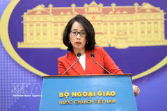 Официальный представитель Министерства иностранных дел Фам Тху Ханг проводит пресс-конференцию. (Фото: ВИА).