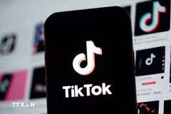Логотип TikTok на экране телефона. Фото: Синьхуа/ВИА.