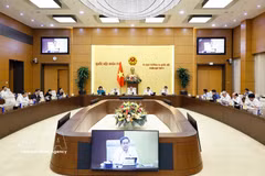 Общий вид заседания во второй половине дня 18 августа 2026 года. Фото: ВИА.
