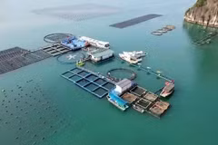 Высокотехнологичное морское рыбоводческое хозяйство корпорации STP Group в Вандон провинции Куангнинь. (Фото: nhandan.vn)