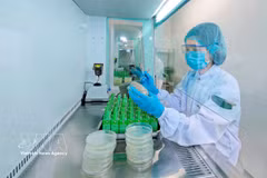 На заводе Nestlé Bông Sen в провинции Хынгйен применяются цифровые технологии в зелёном производстве. Фото: ВИА.
