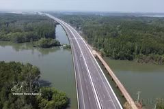 Скоростная автомагистраль Бенлык — Лонгтхань на участке, проходящем через мангровые леса уезда Нёнчать (провинция Донгнай). Фото: ВИА.