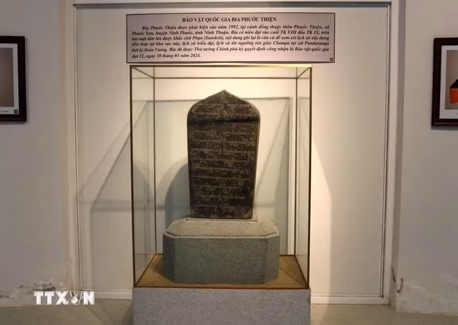 4-6536.jpg