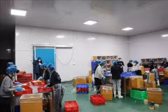 В настоящее время в провинции Даклак работают 17 предприятий по переработке дуриана, оборудованных морозильными и холодильными камерами, с совокупной годовой мощностью около 120 000 тонн. (Фото: ВИA)