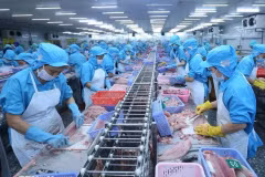 Стоимость экспорта морепродуктов к октябрю 2024 года достигла 8,33 миллиарда долларов США, что на 12% больше, чем в прошлом году. (Фото: ВИA)