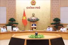 Премьер-министр Фам Минь Тьинь председательствует на очередном октябрьском заседании правительства 9 ноября. (Фото: ВИA)
