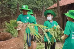 Молодые люди участвуют в программе "Cuc Phuong Camp 2024" в национальном парке Кукфыонг в северной провинции Ниньбинь (Фото: ВИA)
