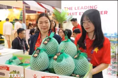 Вьетнамские зеленокожие помело представлены на выставке Asia Fruit Logistica в Гонконге (Китай)