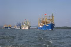 Рыболовецские судна на море. (Источник фото: ВИА)