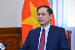 Министр иностранных дел Буй Тхань Шон дает интервью ВИА. (Фото: baoquocte.vn)