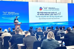 На конференции. (Фото: МИД)