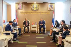 На рабочем заседании (Фото: baoquocte.vn)