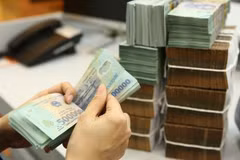 Фото для иллюстрации. (Источник: Vietnam+)