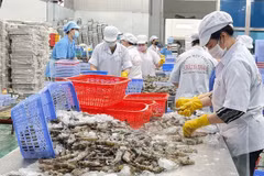 Экспорт сельскохозяйственной, лесной и рыбной продукции установил новый рекорд в 2022 году. (Фото: ВИА)