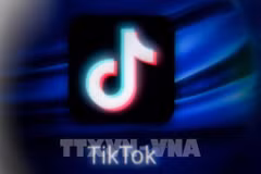 Иконка социальной сети TikTok. (Фото: АФП/ВИА)