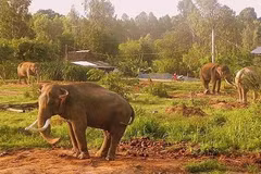 Иллюстративное изображение (Фото: moitruong.com.vn)