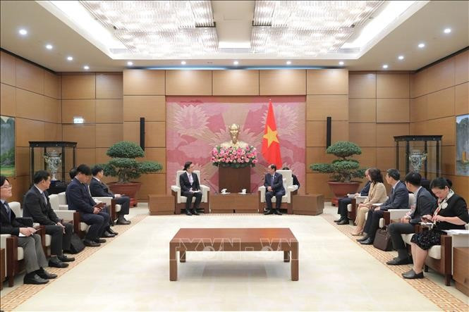 Заместитель председателя Национального собрания Ле Минь Хоан принял заместителя генерального директора по финансовым вопросам компании Samsung Electronics. (Фото: ВИА).