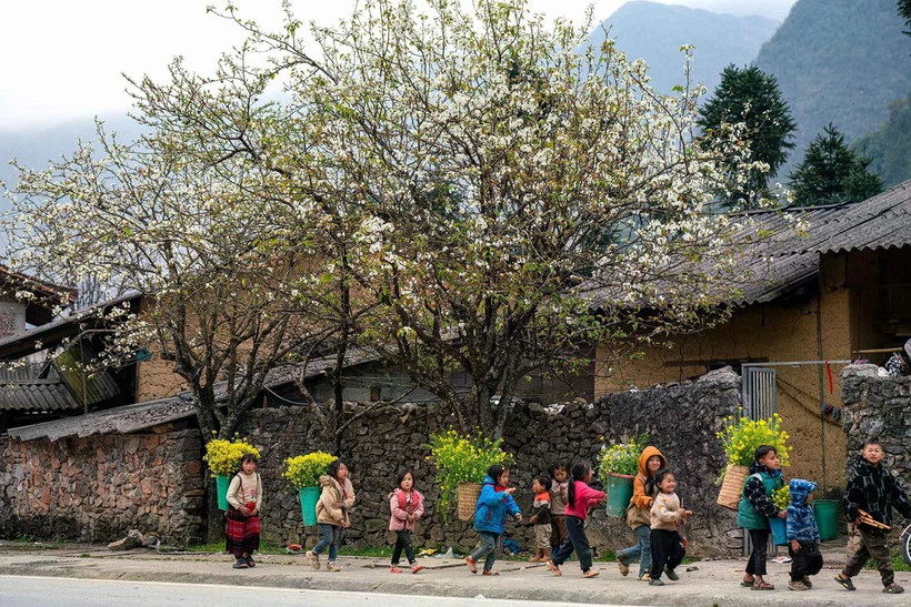 Жизнь жителей Каменного плоскогорья Донгван. (Фото: ВИА))