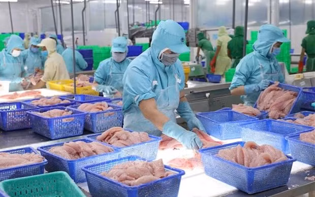 Ожидается, что экспорт рыбных продуктов Вьетнама восстановится в 2024 году ảnh 1