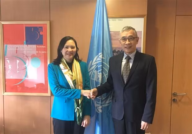 Углубление сотрудничества между Вьетнамом и ЮНЕСКО ảnh 1