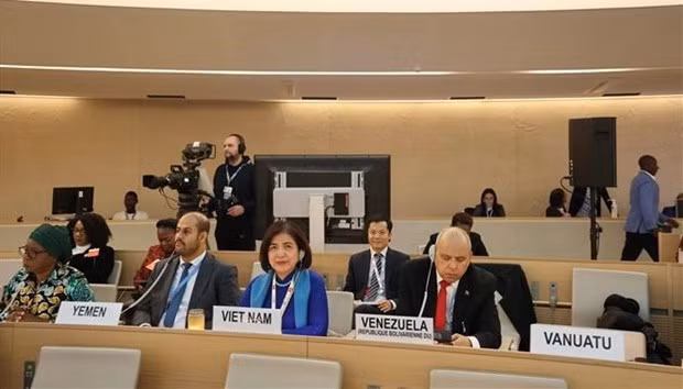 Вьетнам подтверждает свои обязательства по продвижению прав человека ảnh 1