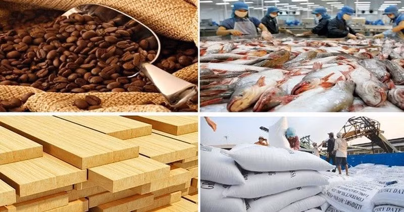 Стоимость экспорта сельскохозяйственной продукции в 2022 году превысила 49 млрд. долл. США ảnh 1