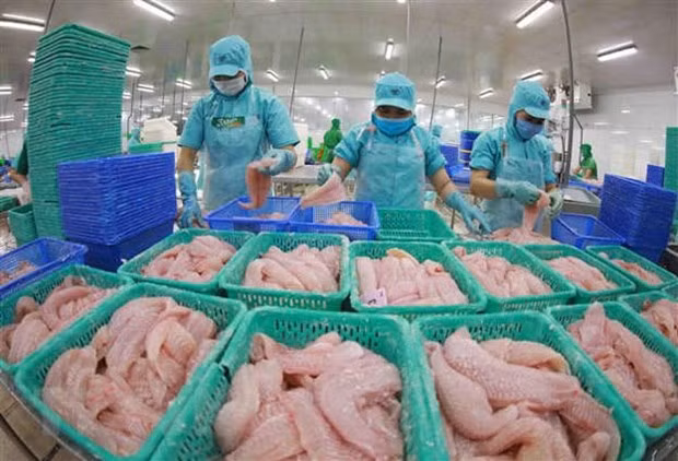 Новые рекорды в экспорте сельской, лесной и рыбной продукции в 2022 году ảnh 2
