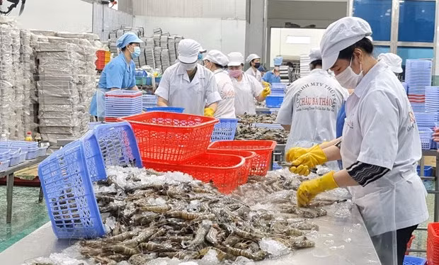 Экспорт сельскохозяйственной, лесной и рыбной продукции установил новый рекорд в 2022 году ảnh 1