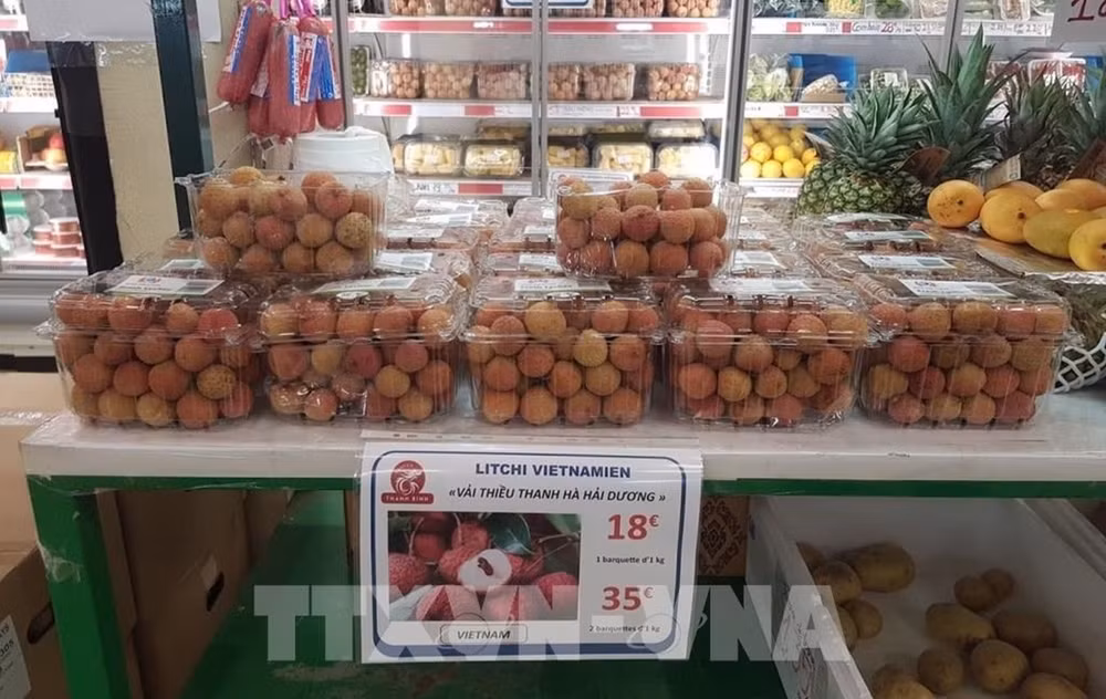 "Окрылять" сельскохозяйственную продукцию в Европу через электронную торговлю ảnh 1