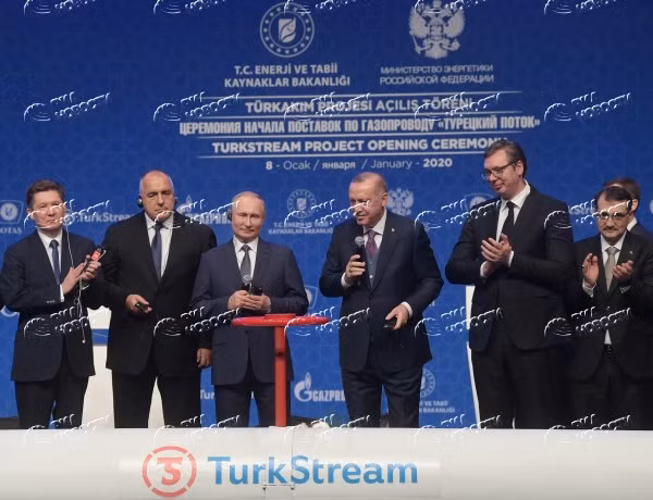 Путин и Эрдоган запустили "Турецкий поток" ảnh 1