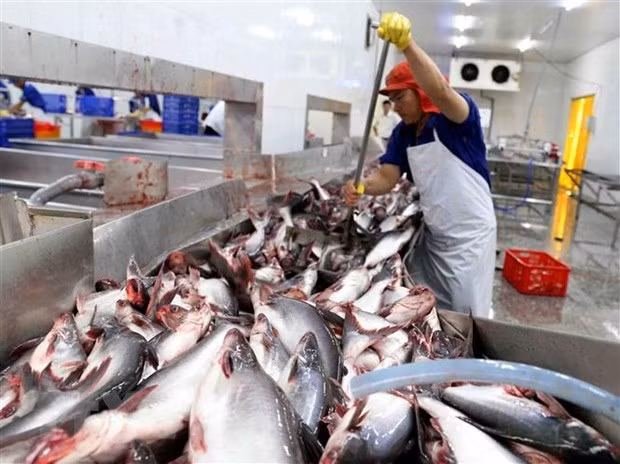 Вьетнамским компаниям разрешили возобновить экспорт морепродуктов в Саудовскую Аравию ảnh 1