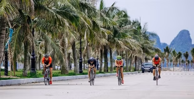 Соревнования по триатлону “Tuan Chau Sunset Triathlon” пройдут в августе ảnh 1