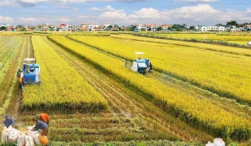 Новое мышление необходимо в сельскохозяйственном производстве ảnh 1